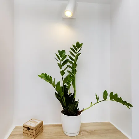 公寓 Trogirski San