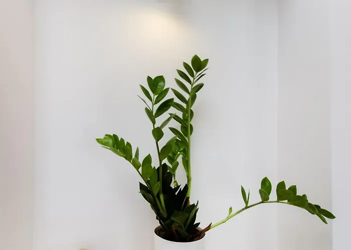 아파트 Trogirski San